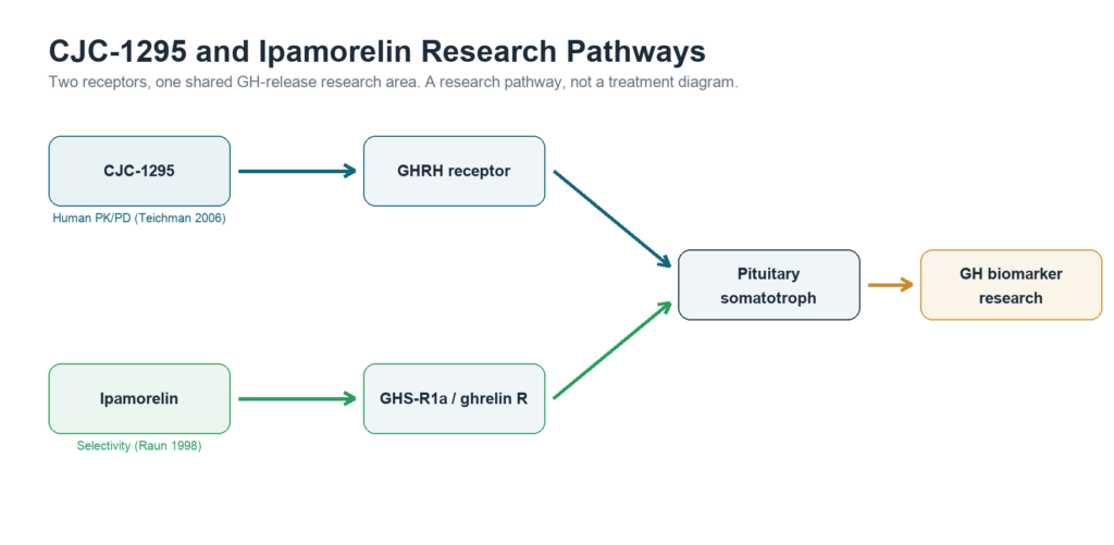 CJC-1295 vs Ipamorelin: Differences, Evidence & Quality