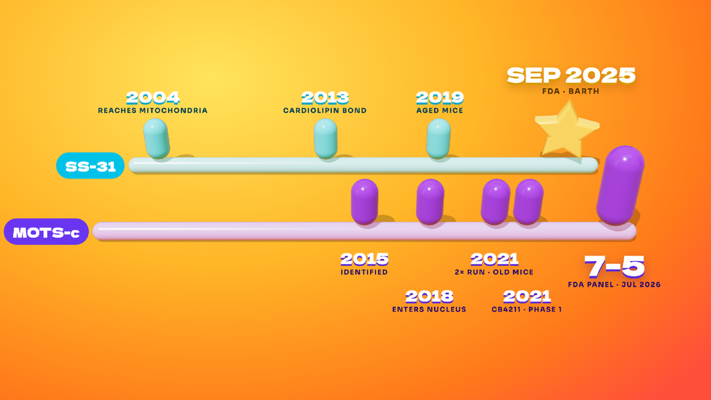 Two-track timeline of SS-31 and MOTS-c research milestones from 2004 to 2026