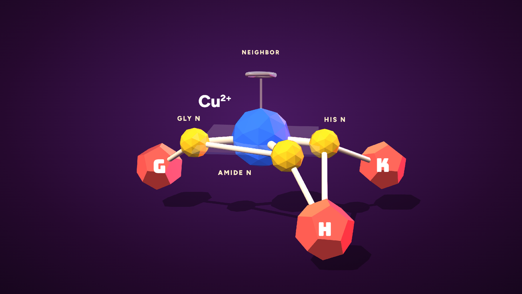 diagram showing GHK tripeptide holding a copper(II) ion through three nitrogen atoms