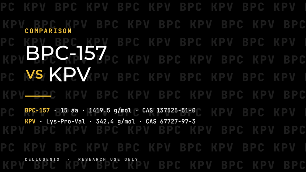 BPC-157 vs KPV: Two Research Peptides Compared by Structure