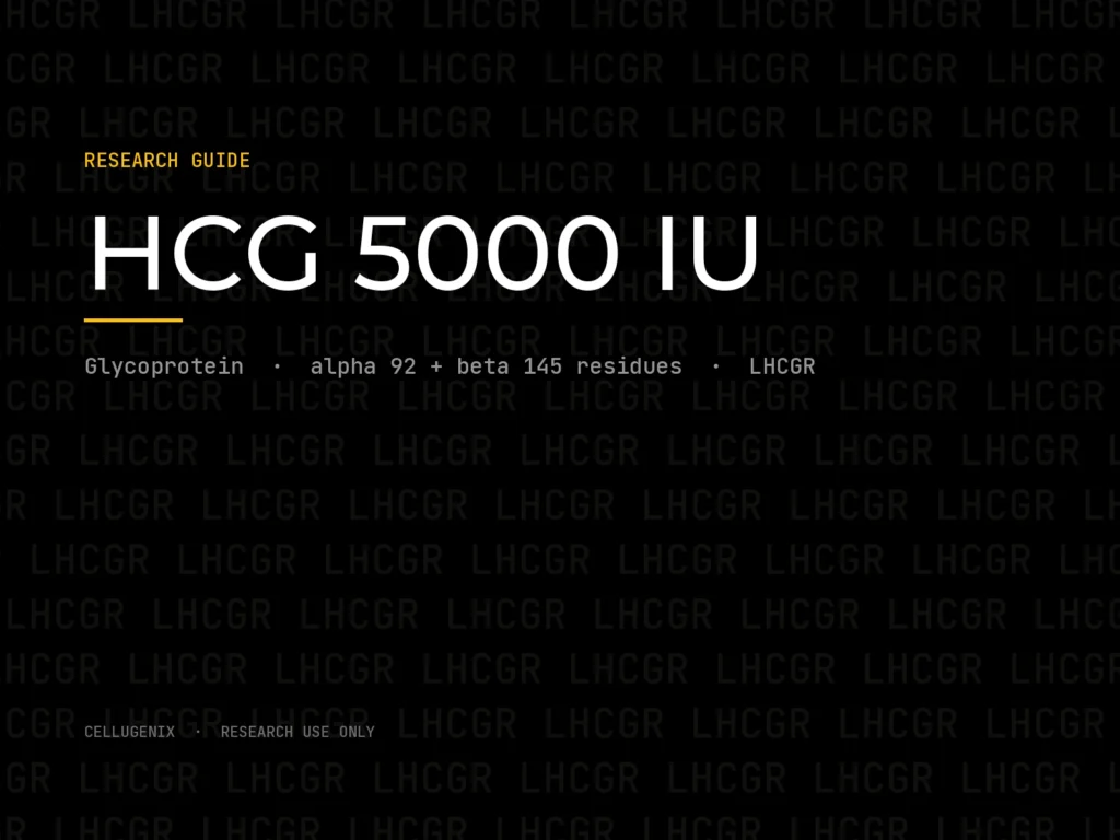 HCG 5000 IU: Human Chorionic Gonadotropin Research Overview