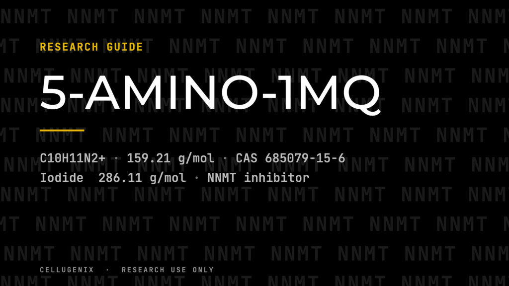 5-Amino-1MQ Research Overview: Structure, Salt Forms and NNMT Enzyme Assays